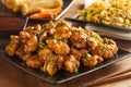 Asian Oranage Chicken with Green Onions