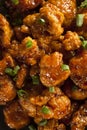 Asian Oranage Chicken with Green Onions