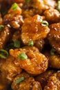 Asian Oranage Chicken with Green Onions