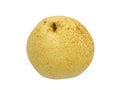 Asian pear fruit isolated Royalty Free Stock Photo