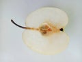 Asian pear Pyrus Pyrifolia isolated on white background give a sweet taste helps to strengthen the lungs. Helps to cleanse the sto