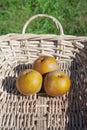 Asian Pears in a Basket