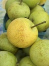 Asian Pears Royalty Free Stock Photo