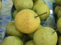Asian Pears Royalty Free Stock Photo