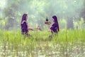 Asian peasant women are preparing to worship the goddess of rice, on a regular basis every year of the farm