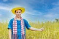 Asian peasants in robes and hats are in a field of golden rice fields Royalty Free Stock Photo