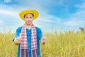 Asian peasants in robes and hats are in a field of golden rice fields Royalty Free Stock Photo