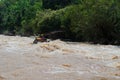 Asian people in action at rafting adventure