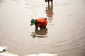 Asian people walking on flooding road during monsoon season Royalty Free Stock Photo