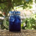 Asian pigeonwings (Butterfly Pea) juice