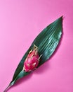 Asian pink dragon fruit on a green palm leaf on a pink background, top view