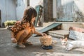 Asian playing with cat at java traditional home Royalty Free Stock Photo