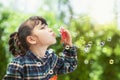 Asian preschool girl play soap bubble by blowing toy in playsgound Royalty Free Stock Photo