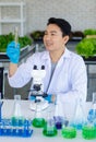 Asian professional male scientist researcher in white lab coat and rubber gloves sitting smiling holding test tube using Royalty Free Stock Photo