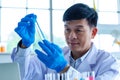 Asian professional mature male scientist in white lab coat and rubber gloves sitting holding looking at blue liquid sample in test Royalty Free Stock Photo