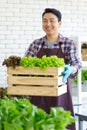 Asian professional successful cheerful male farmer gardener in apron standing smiling harvesting holding fresh raw organic green Royalty Free Stock Photo