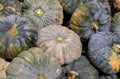 Asian pumpkins piled. Pumpkin pile sold in the fresh market. Pumpkin is a plant Can be used for both food,