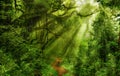 Asian rain forest Royalty Free Stock Photo