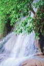 Asian rainforest with a waterfall. Jungle virgin nature