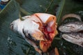 Asian redtail catfish Royalty Free Stock Photo