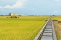 The Asian rice crop at Sekinchan, Malaysia