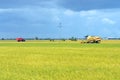The Asian rice crop at Sekinchan, Malaysia