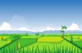 Asian Rice Field Paddy Plantation Agriculture Landscape Illustration