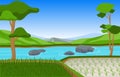 Asian Rice Field Paddy Plantation Agriculture Landscape Illustration Royalty Free Stock Photo