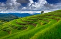 Asian rice field terrace on mountain side in Pabongpiang village, Chiang mai province,Thailand Royalty Free Stock Photo