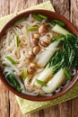 Asian rice noodle soup with mushrooms and bok choy closeup in a bowl. Vertical top view Royalty Free Stock Photo