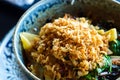 Asian rice with pork, Mu-err mushrooms, napa cabbage, pickled bamboo shoots, spinach, Teriyaki, sweet chili sauce, onion Royalty Free Stock Photo