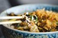 Asian rice with pork, Mu-err mushrooms, napa cabbage, pickled bamboo shoots, spinach, Teriyaki, sweet chili sauce, onion Royalty Free Stock Photo