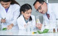 Asian scientist kid student and Indian teacher looking at plant in test tube at biology class in school laboratory, do an Royalty Free Stock Photo