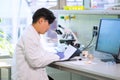 Asian scientist working in lab. Doctor making microbiology research. Laboratory tools: microscope, test tubes, equipment Royalty Free Stock Photo