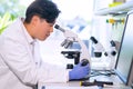 Asian scientist working in lab. Doctor making microbiology research. Laboratory tools: microscope, test tubes, equipment Royalty Free Stock Photo