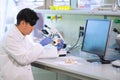 Asian scientist working in lab. Doctor making microbiology research. Laboratory tools: microscope, test tubes, equipment Royalty Free Stock Photo