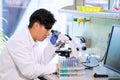 Asian scientist working in lab. Doctor making microbiology research. Laboratory tools: microscope, test tubes, equipment Royalty Free Stock Photo