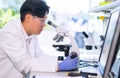 Asian scientist working in lab. Doctor making microbiology research. Laboratory tools: microscope, test tubes, equipment Royalty Free Stock Photo