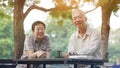 Asian senior couple start morning coffee in park, optimistic con Royalty Free Stock Photo