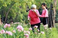 Asian senior grandmother sneezes in handkerchief due to pollen allergies,woman allergy to blooming flowers runny nose on tissue Royalty Free Stock Photo