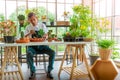 Asian Senior male plating tree on to flower pot for happy retirement lifestyle cocnept