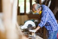 Asian senior man carpenter wear protective mask dust and headphone working use electronic saw cutting wood. Royalty Free Stock Photo