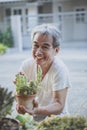 Asian senior man holding succulent plant pot in hand and laughing with happiness face