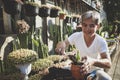 Asian senior man repot cactus pup at home garden