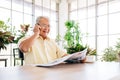 An Asian senior retired man in casual clothes using a mobile with a smile while reading a newspaper. While sitting at home. Royalty Free Stock Photo