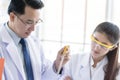 Asian senior scientist have teaching young student scientist in a laboratory Royalty Free Stock Photo