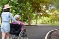 Asian senior woman in wheelchair with little child girl supporting disabled grandparent on walking green nature,grandmother and Royalty Free Stock Photo