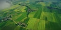 Asian Serenity: Aerial View of Surreal Rice Fields in Oriental Landscape Royalty Free Stock Photo