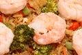 Asian Shrimp Fried Rice Royalty Free Stock Photo