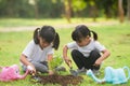 Asian sibling planting young tree on black soil together as save world in garden on summer day. Planting tree. Childchood and